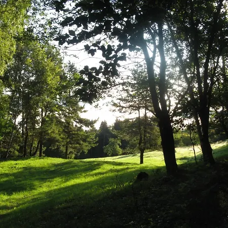 Gozdarjeva Koca Nad Rimskimi Toplicami