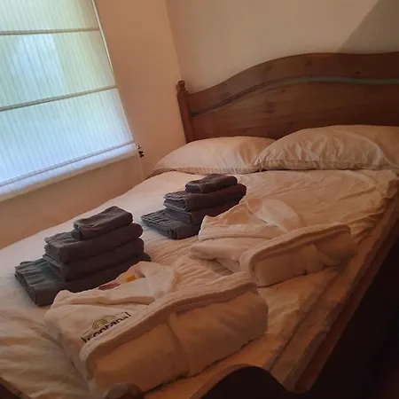 Ferienhaus Gozdarjeva Koca Nad Rimskimi Toplicami *