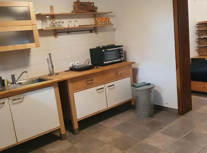 Gozdarjeva Koca Nad Rimskimi Toplicami