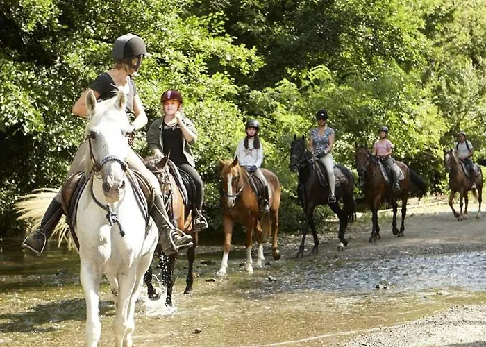 Gozdarjeva Koca Nad Rimskimi Toplicami Vakantiehuis *