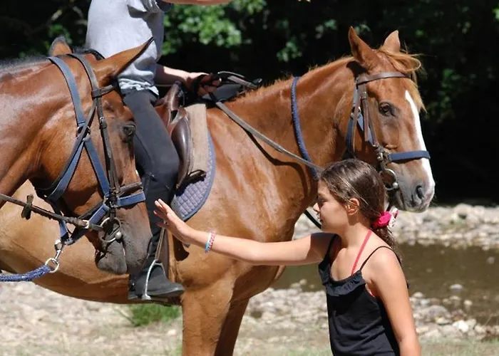 Gozdarjeva Koca Nad Rimskimi Toplicami Nyaraló *